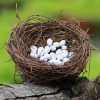 Tổ trứng chim