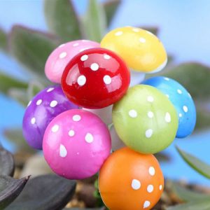 Nấm xốp tiểu cảnh