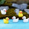 Vịt con nhiều màu